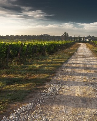 Common Road runs across the Wine Yard