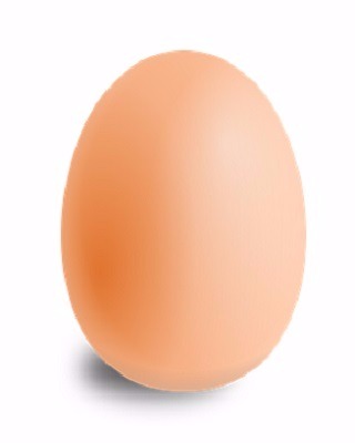 Can you make the egg stand on its tip?